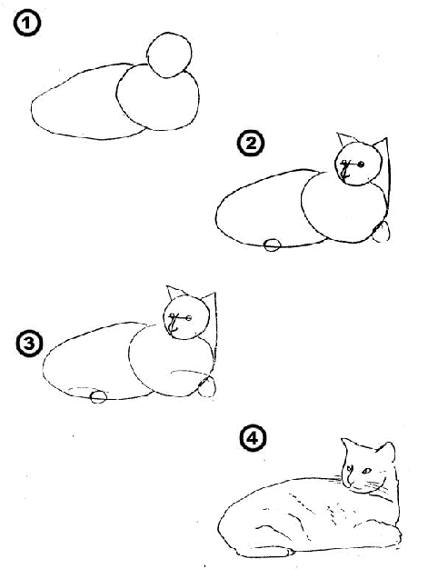 How Do You Draw A Cat